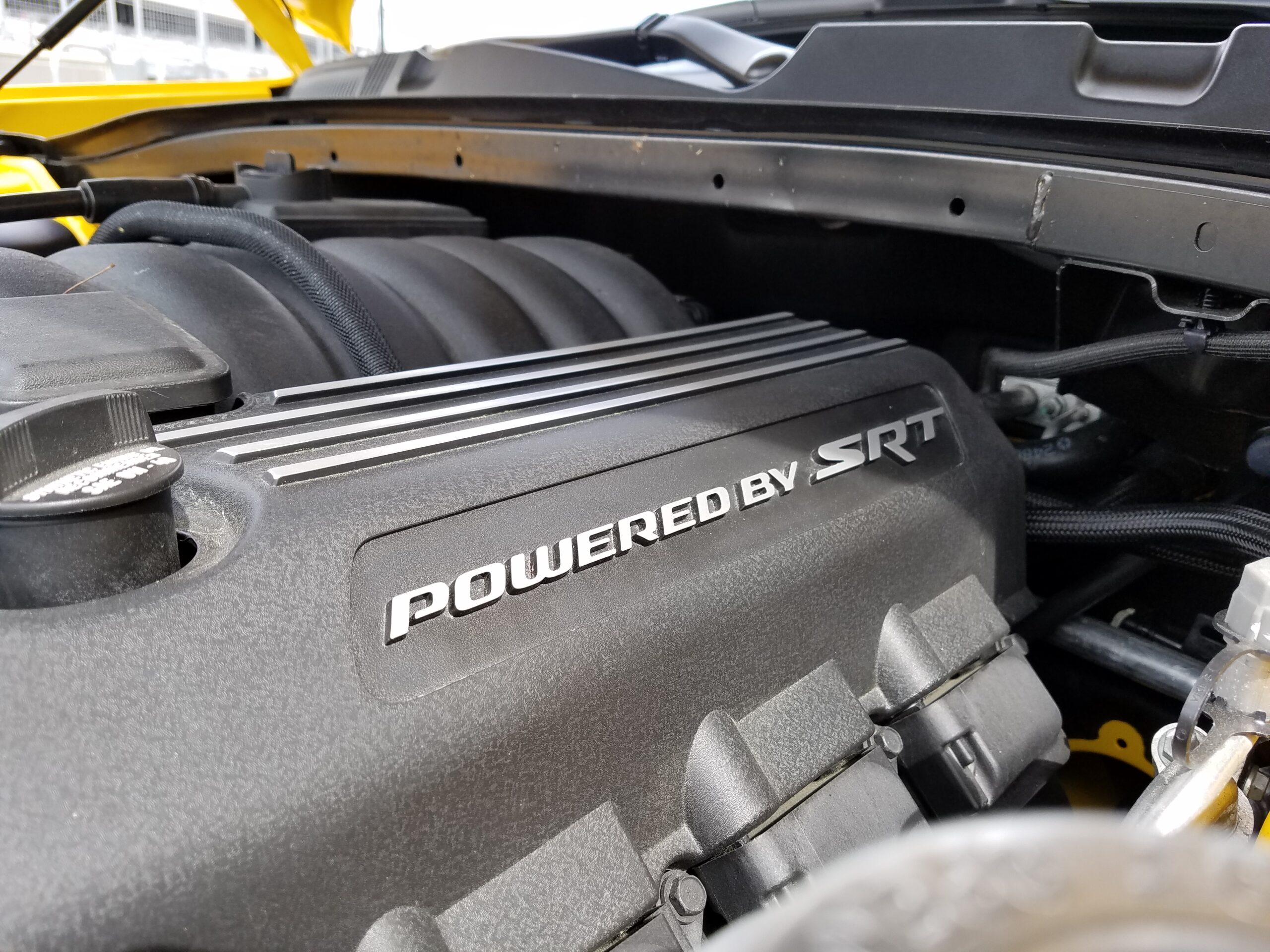 Pledging to the Brotherhood of Muscle, on an F1 Race Track